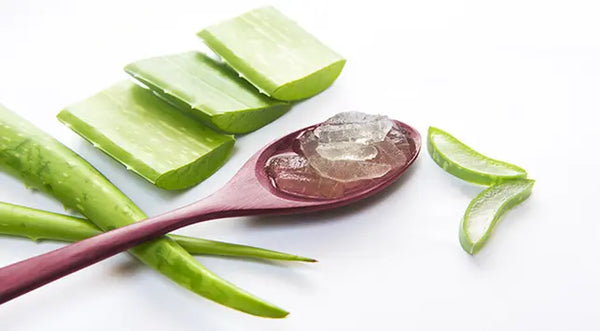 manfaat-aloevera