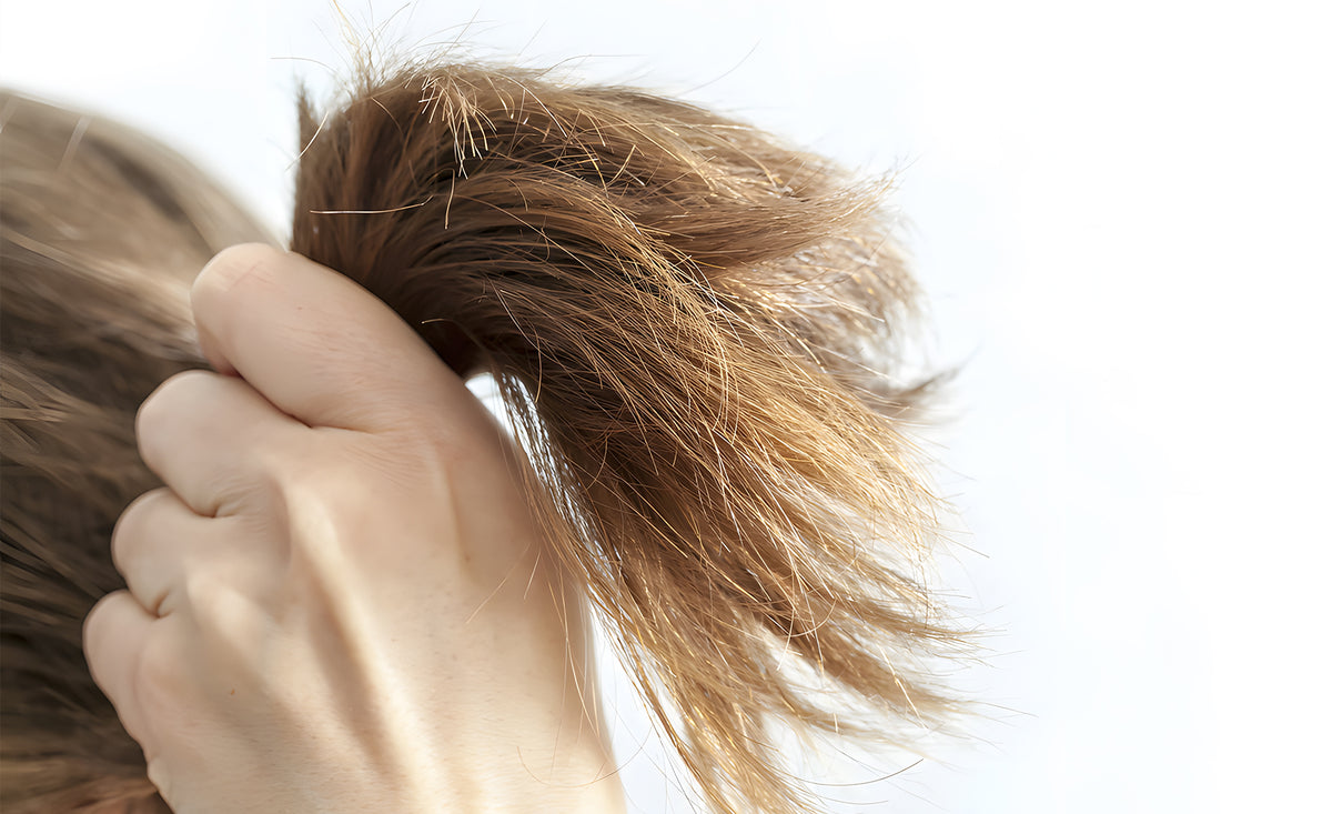 Cara Agar Rambut Tidak Kering dan Tetap Sehat