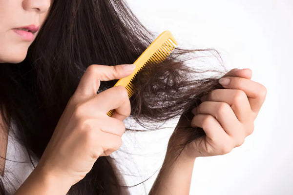 Pilihan Shampo untuk Rambut Rontok dan Ketombe yang Aman