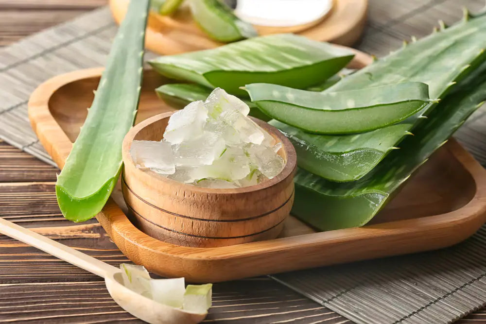 Shampoo Herbal: dari Bahan Alami Bikin Kamu Less Worry