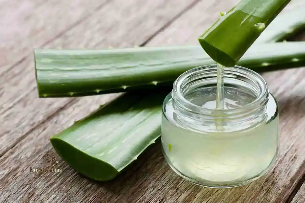 Manfaat Lidah Buaya untuk Rambut: Cara Menggunakan dan Kegunaannya