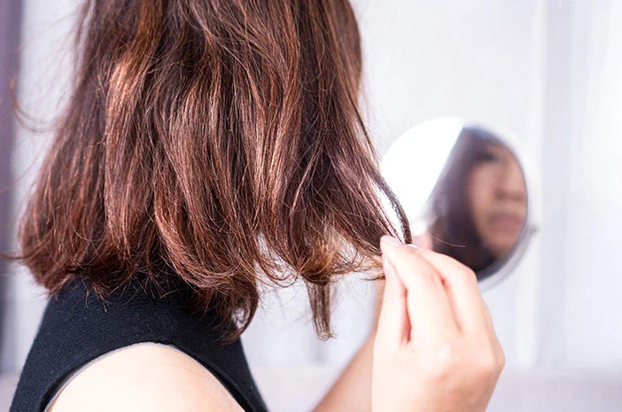 Mitos dan Fakta tentang Penyebab Rambut Kering