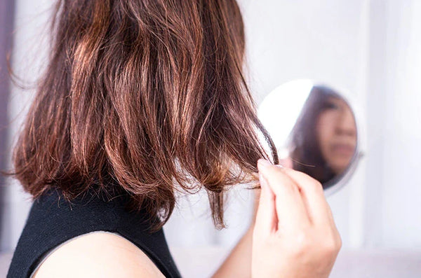 Mitos dan Fakta tentang Penyebab Rambut Kering