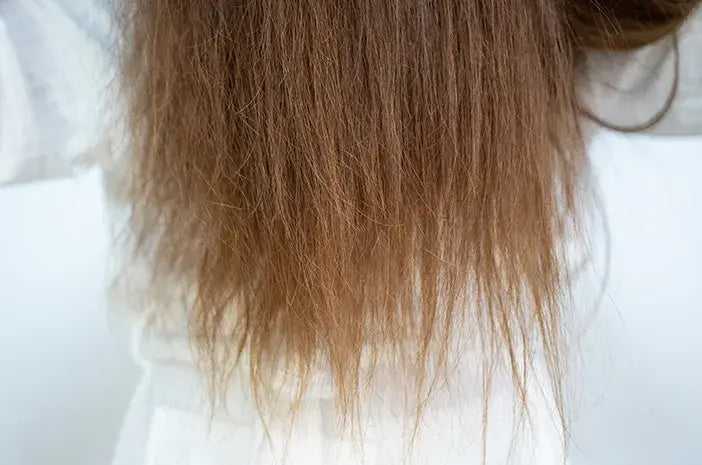 Rambut Sering Patah – Sebab Pasti Yang Perlu Diketahui