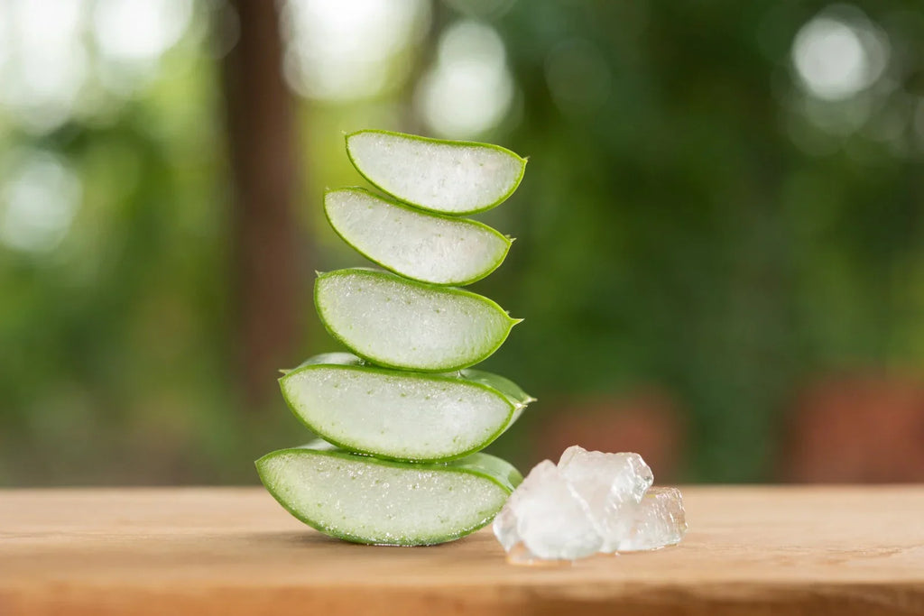 Manfaat Aloe Vera untuk Rambut: Rahasia Rambut Sehat dan Berkilau