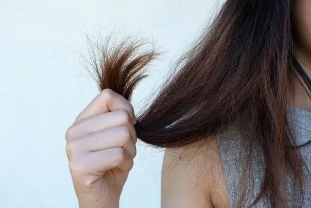 Akar Rambut Kering: Penyebab, Dampak, dan Cara Mengatasinya