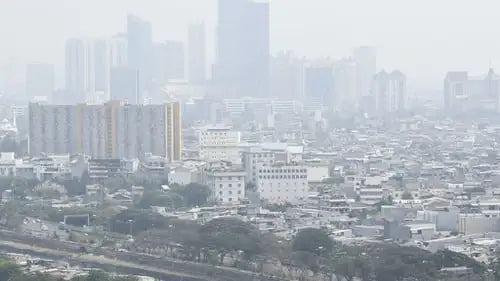 Polusi Udara Menjadi Penyebab Rambut Rontok, Benarkah?