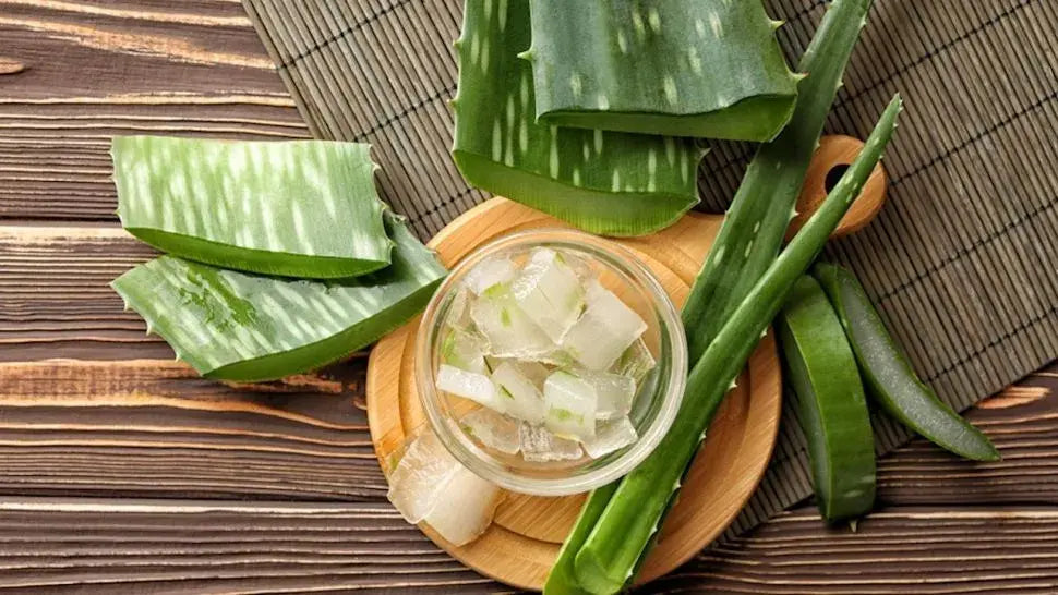 Efek Samping Lidah Buaya untuk Rambut: Apa yang Perlu Diketahui?