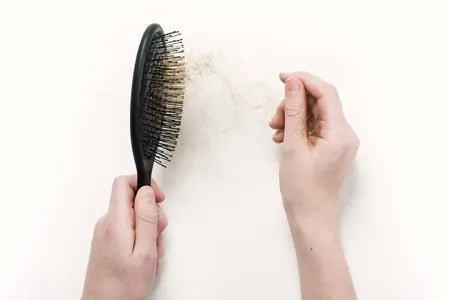 Shampo untuk Rambut Rontok dan Ketombe yang Efektif & Alami