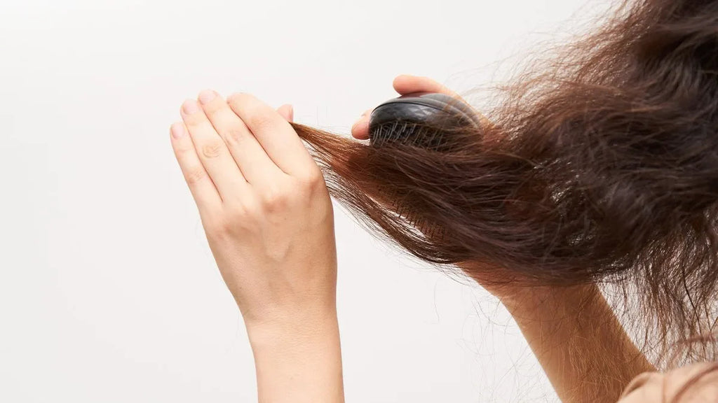 Cara Merawat Rambut Kering dan Mengembang dengan Hair Care yang Tepat