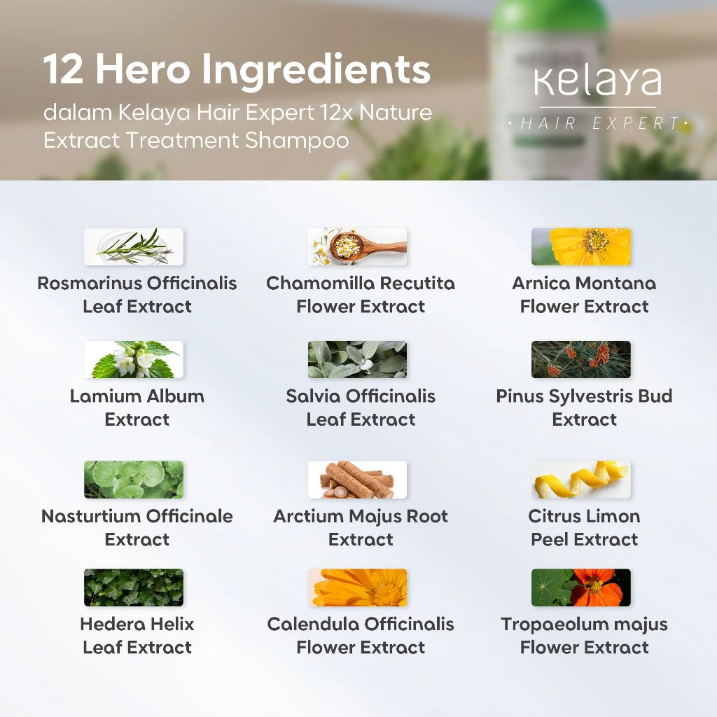 Kelaya 12 Nature Extract Treatment Shampoo 100ml Sampo Rambut Rontok Non SLS