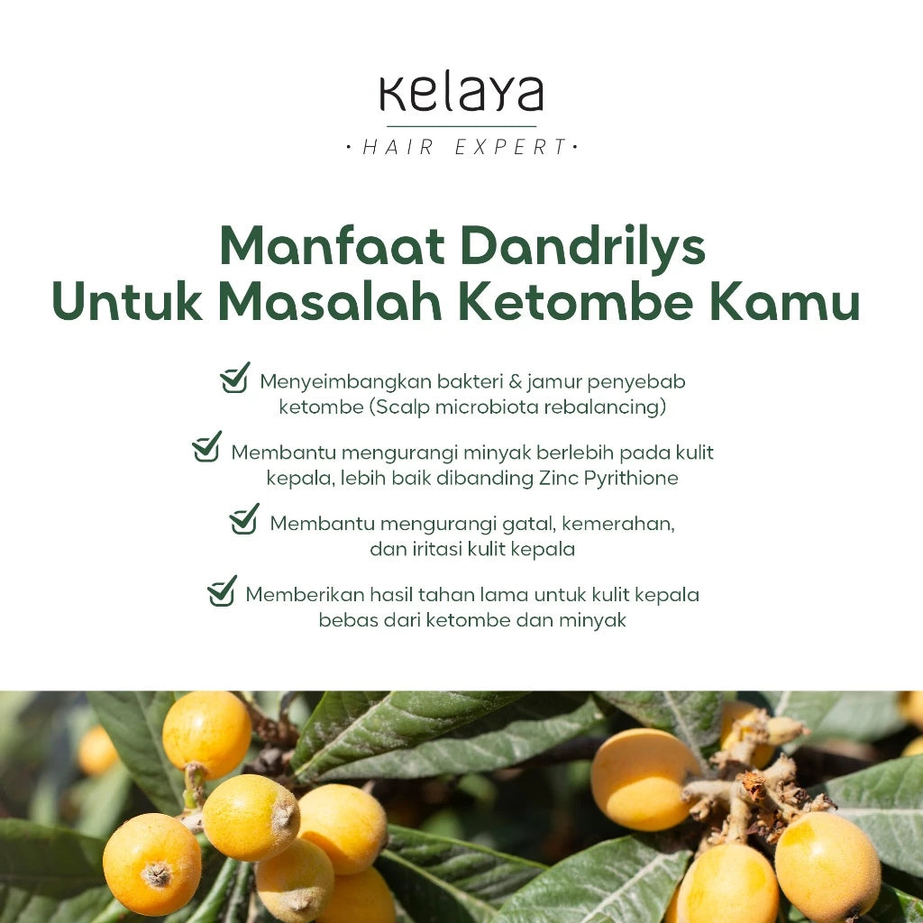 Kelaya Anti-Dandruff Shampoo 100ml Sampo ketombe Non SLS Perawatan Rambut Anti Ketombe Expert